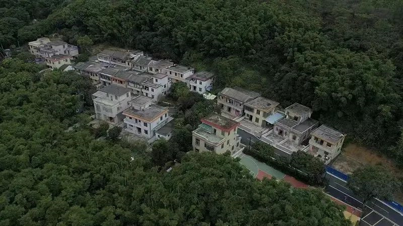 旗溪村是桂南村辖的自然村,位于五桂山南麓,被青山翠竹环绕,桂南村"悦