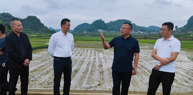 木崗鎮戛隴塘村水稻全程機械化示範種植基地.