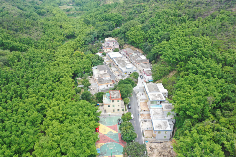 五桂山和平村旅游图片