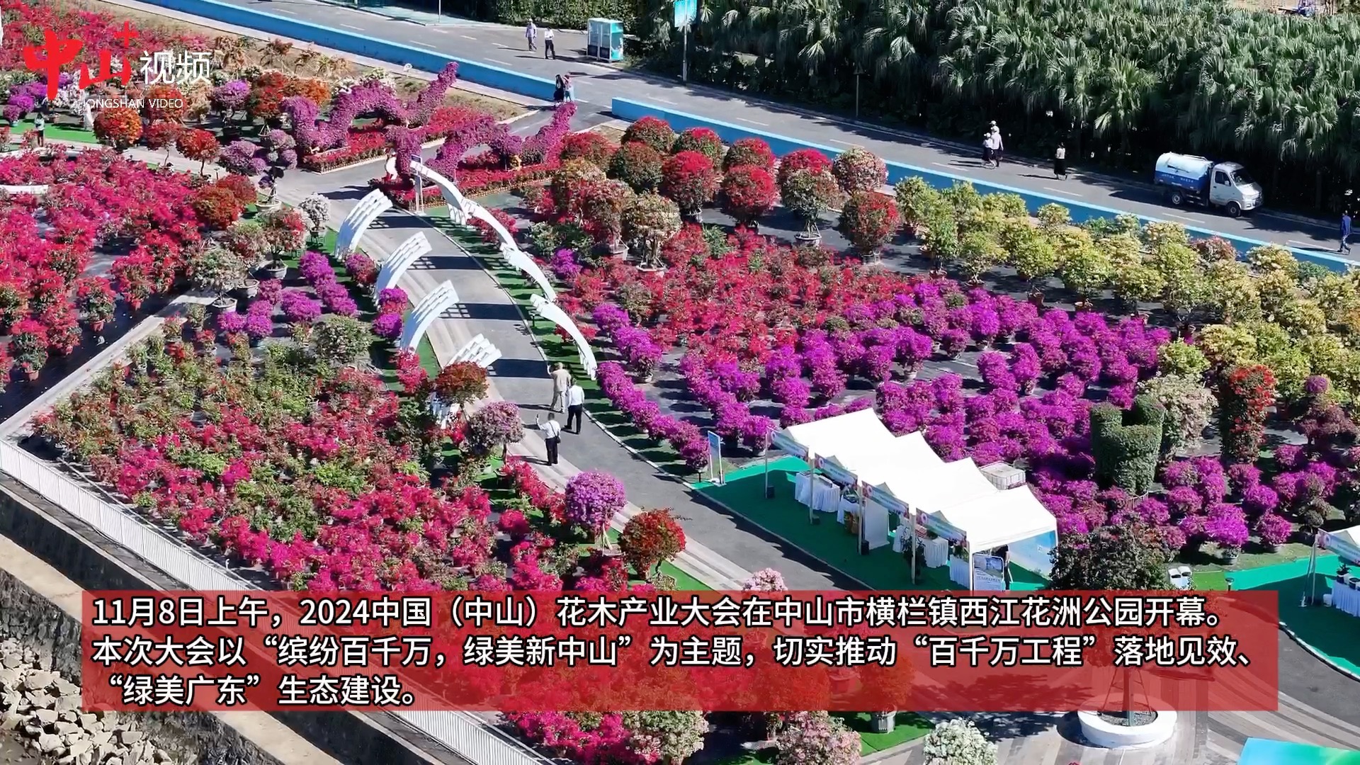 持续至22日！这场花木盛会在中山横栏开幕_中山Plus_中山+中山Plus