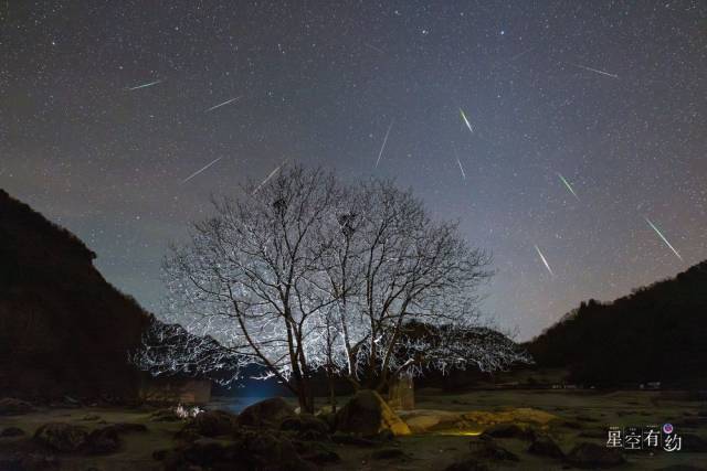 2023年11月19日在陕西省汉中市留坝县狮子沟牧场拍摄的狮子座流星雨（多张叠加）。（代玲摄，星联CSVA供图）