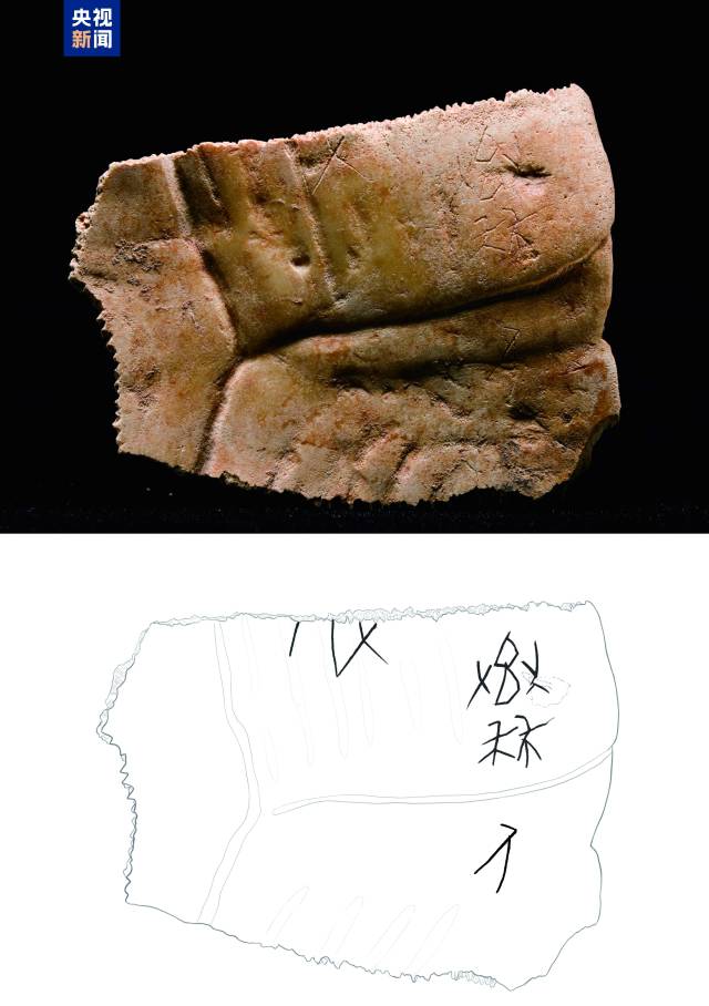 △ “秦人”刻辞甲骨及刻辞摹本