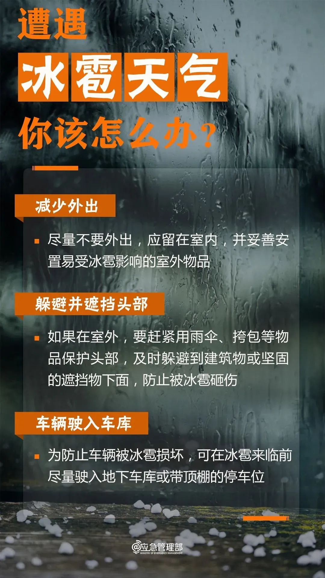 6.webp