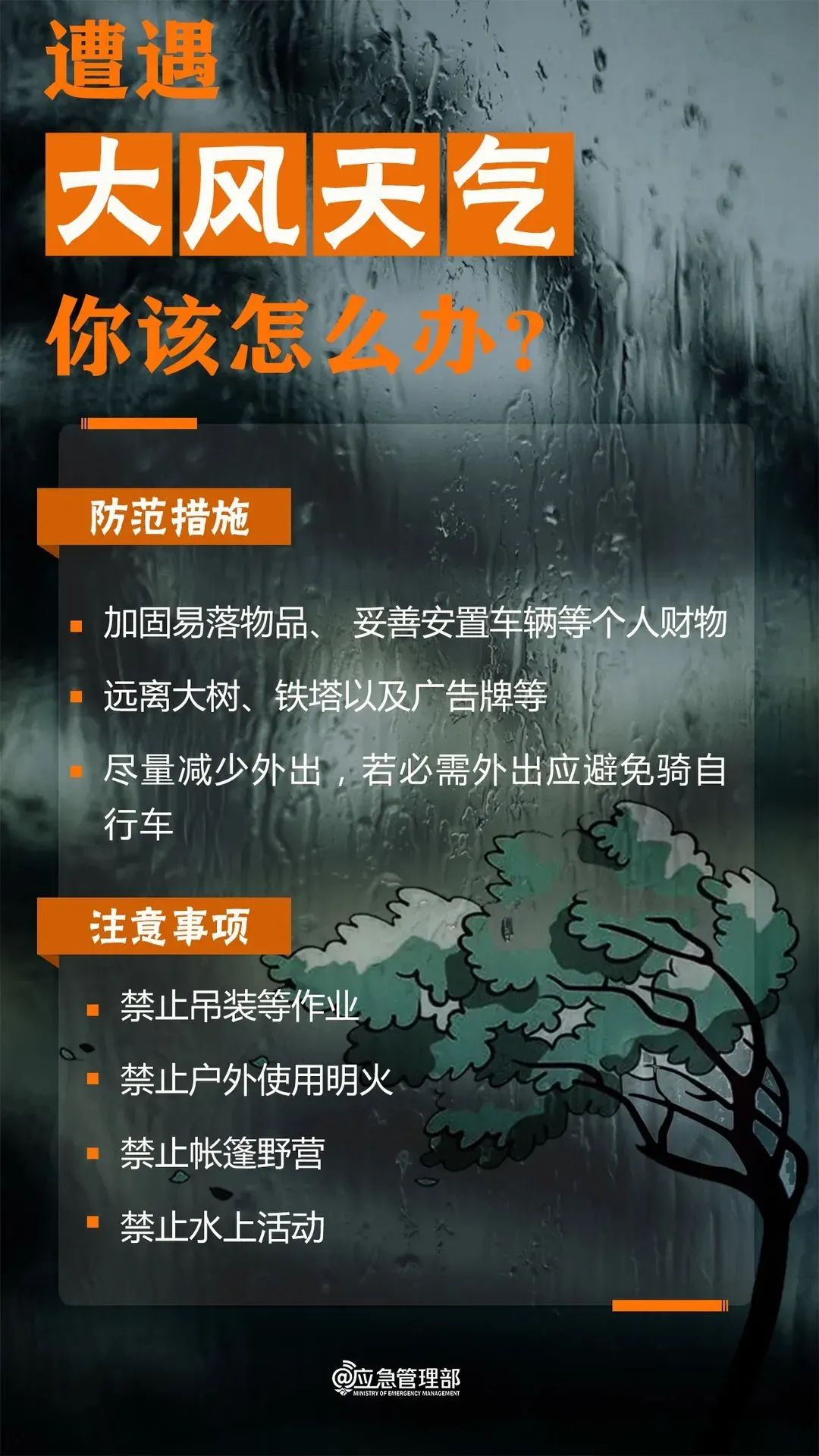 7.webp