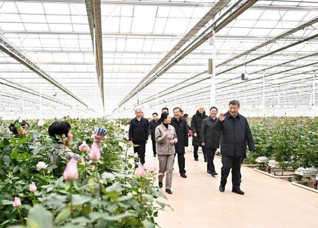 △2025年3月19日，习近平总书记在云南丽江现代花卉产业园考察。
