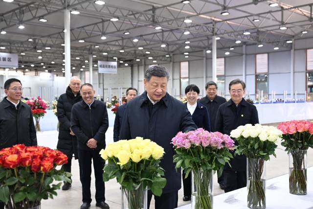 △2025年3月19日，习近平总书记在云南丽江现代花卉产业园考察。