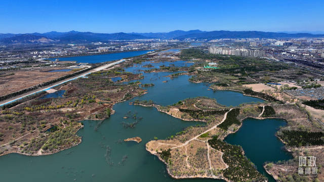 2025年4月3日，永定河畔的植树点。（总台央视记者刘岳拍摄）