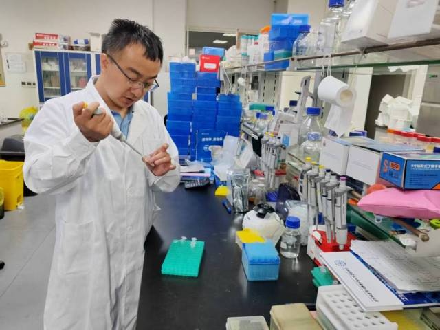 5月24日，杨建刚研究员正在进行人工糖合成实验。（受访者供图）