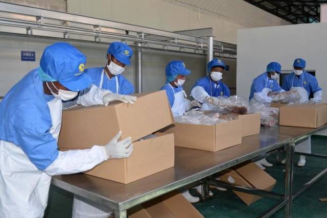 2024年9月11日，在马达加斯加首都塔那那利佛，当地工人包装即将出口中国的羊肉。新华社发（西塔卡·拉乔纳里松摄）
