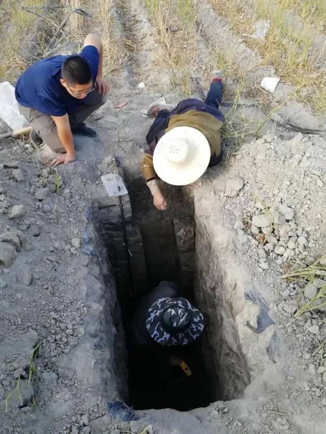 地质工作人员在进行富硒土壤剖面调查。新华社发