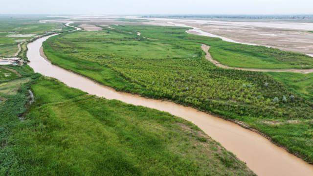 这是2025年6月22日在宁夏平罗县境内拍摄的黄河滩涂湿地（无人机照片）。新华社记者 王鹏 摄