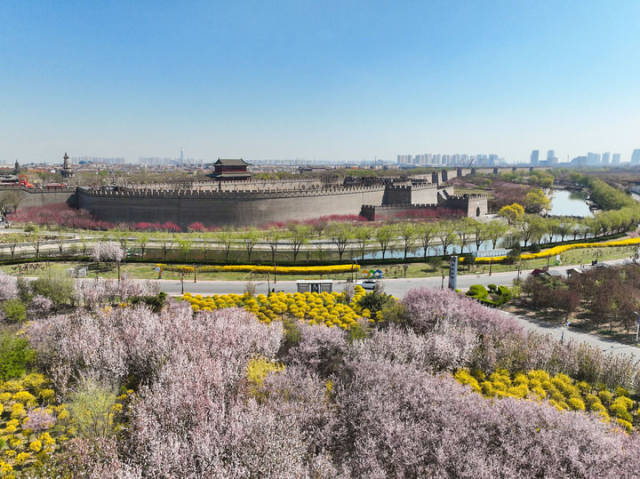 河北省正定古城南城门春色（2025年3月31日摄，无人机照片）。新华社发（梁子栋摄）