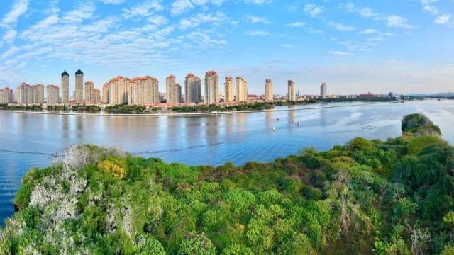 福建厦门杏林湾一带的湿地及城市景观（2024年1月24日摄，无人机全景照片）。新华社记者 姜克红 摄