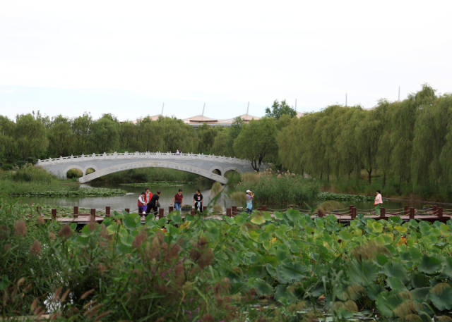 9月17日，游客在城市绿心森林公园游玩。新华社记者 张晨霖 摄