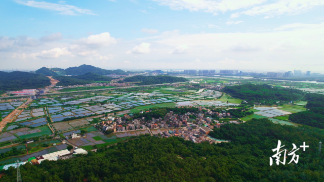 冲口村。