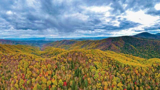 △东北虎豹国家公园风光