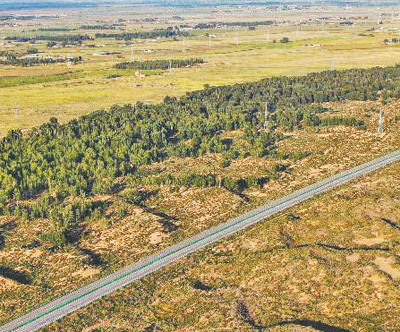 “十四五”时期，“三北”工程攻坚战取得阶段性成效。图为内蒙古库布其沙漠北缘锁边林带。新华社记者 李志鹏摄