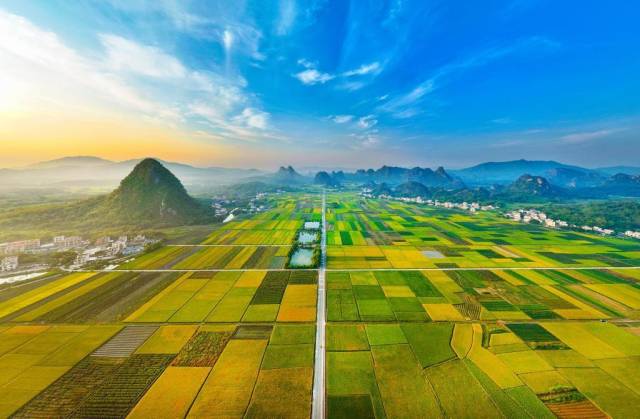 圖為廣東陽江陽春市馬水鎮(zhèn)馬蘭村的“馬蘭秋色”。（受訪者供圖）