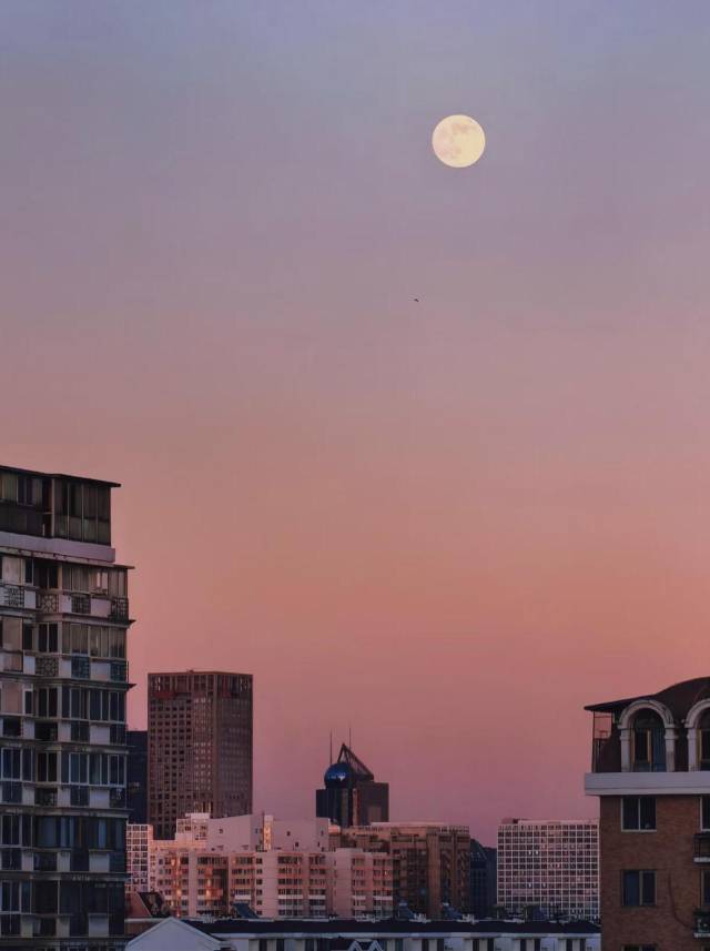 △图源网友：回归线w