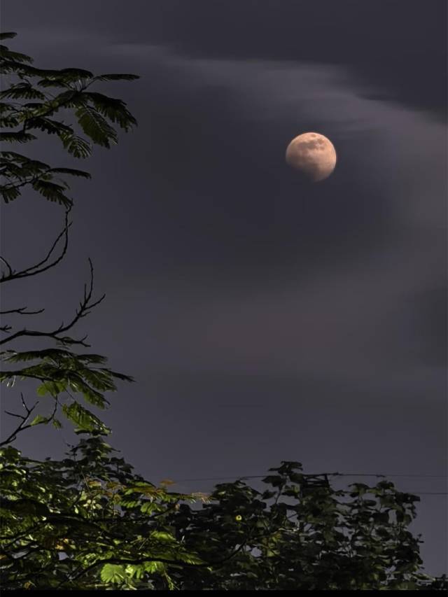 △图源网友：至软至硬是人心