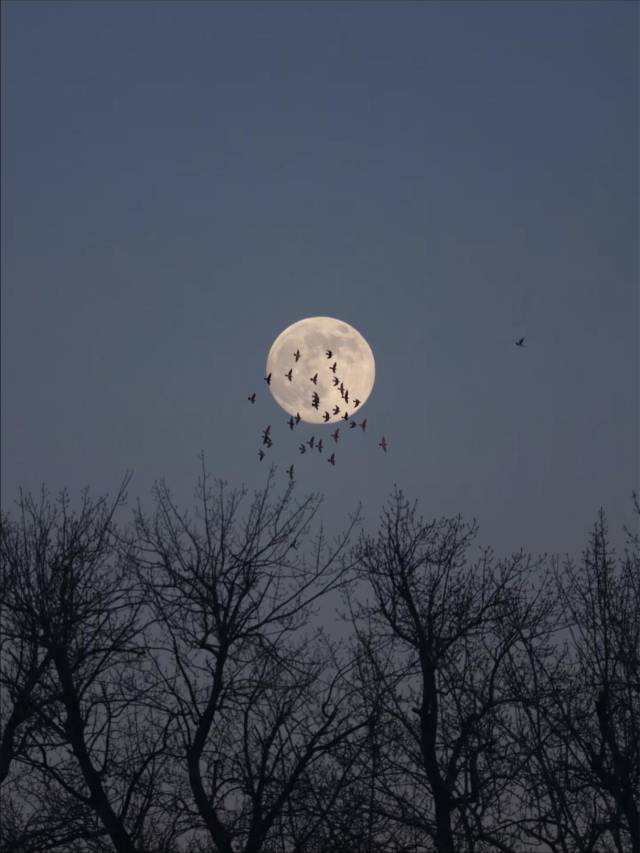 △图源网友：汐