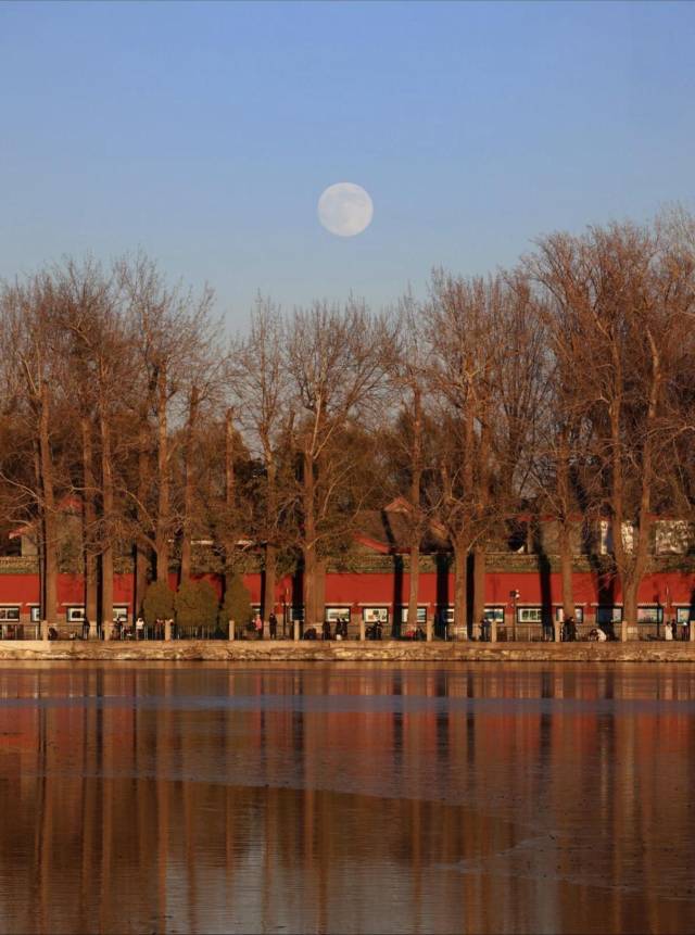 △图源网友：汐