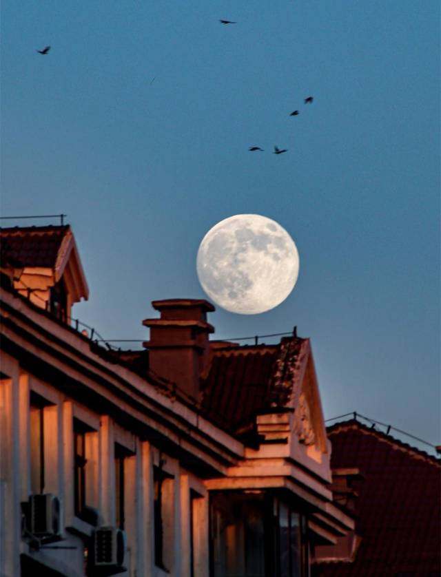 △图源网友：cling