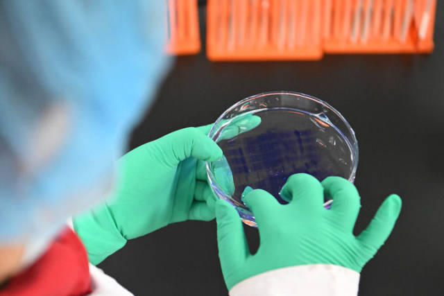 2025年2月20日,在位于京津中关村科技城的中科拜克(天津)生物药业有限公司,实验人员在检验生物制品蛋白分子量。新华社记者 孙凡越 摄 2025年2月20日,在位于京津中关村科技城的中科拜克(天津)生物药业有限公司,实验人员在检验生物制品蛋白分子量。新华社记者 孙凡越 摄