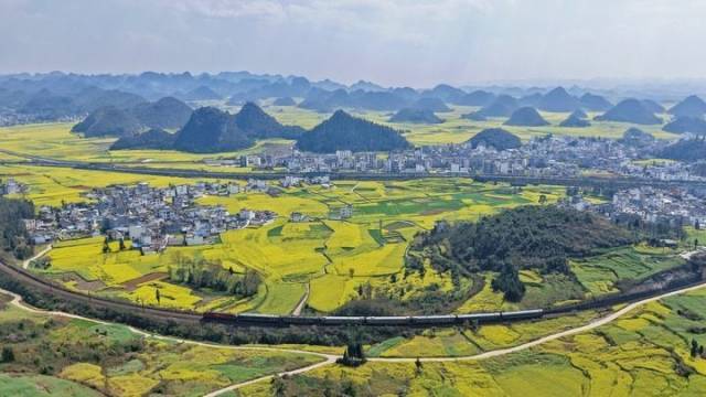 2026年2月26日，赏花旅游专列在云南省曲靖市罗平县油菜花海中行驶（无人机照片）。新华社发（杨紫轩摄）