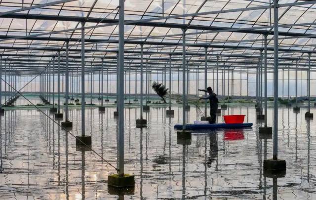 △江蘇盱眙龍蝦國家級現(xiàn)代農(nóng)業(yè)全產(chǎn)業(yè)鏈標(biāo)準(zhǔn)化示范基地