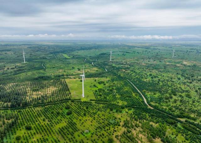 △2024年8月3日，在内蒙古通辽科尔沁左翼后旗，科尔沁沙地“双百万亩”综合治理工程努古斯台项目区内绿意盎然。