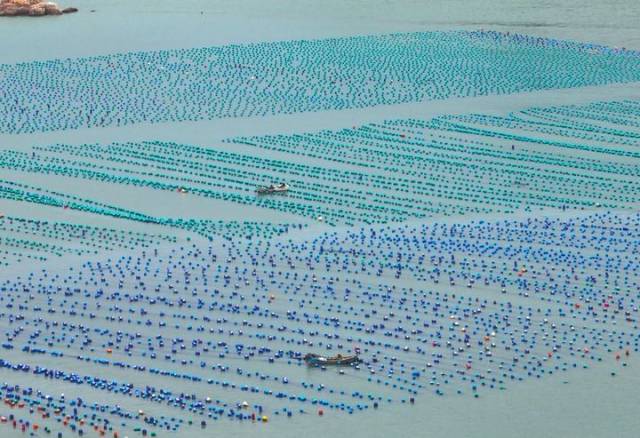 这是2026年4月2日在福建省福州市连江县定海湾拍摄的鲍鱼、生蚝等海产品养殖区（无人机照片）。新华社记者 林善传 摄