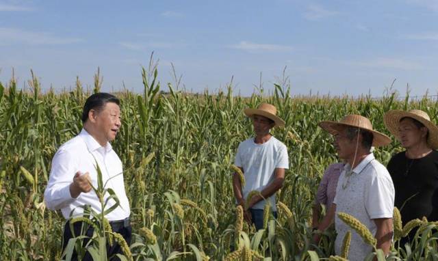 △2021年9月13日，习近平总书记在前往陕西米脂县高西沟村考察调研途中临时下车，察看粮食作物长势，同正在田间劳作的老乡拉家常。