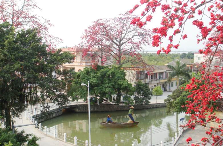 2017年,横栏镇民生和公共服务支出高达69%!