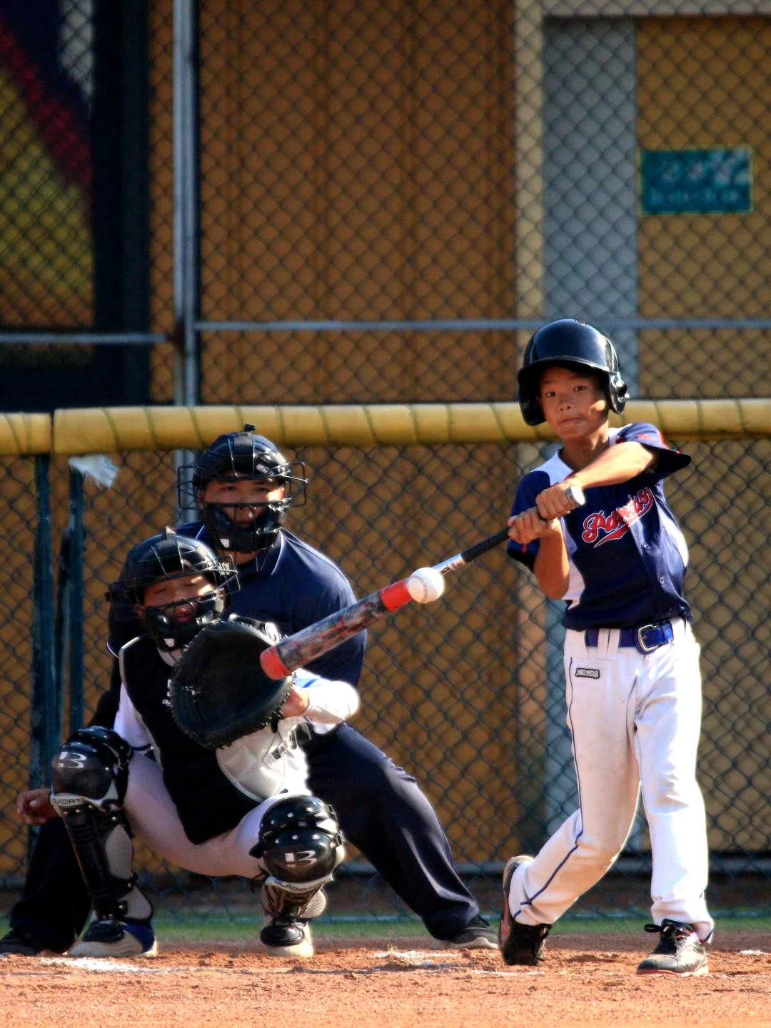 中山熊猫少年棒球队摘全国冠军,将代表中国参加亚太赛!