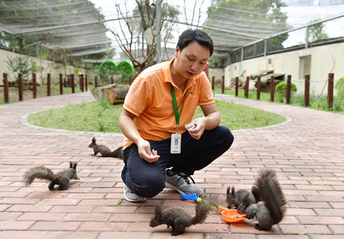 南区悦来亲子王国松鼠乐园, 生活着300多只 呆萌可爱的小松鼠, 今年34