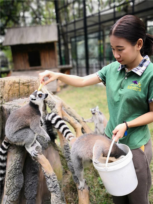 女饲养员郭沛榆精心准备一个月只为照顾小兽们情绪