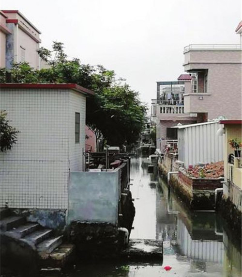 神湾镇竹排村: 三清拆行动缓慢,涉河违建抢建现象触目惊心,村庄卫生