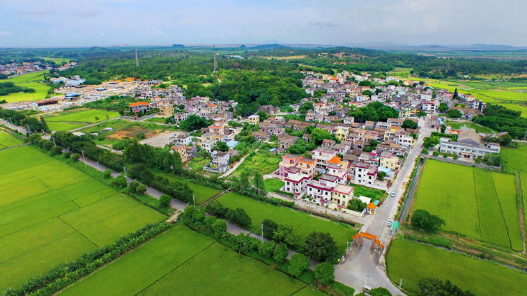 抓实事惠民生中山市南朗美丽乡村加快建设民生实事有效落实