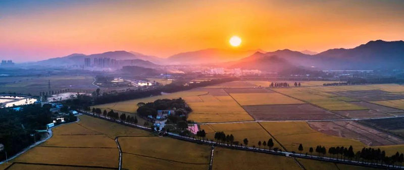 肖怀跃指出—— 中山市委领导班子专题民主生活会准备工作充分扎实