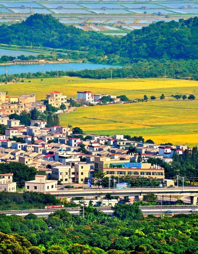 12月5日,南朗左步村,褪去了稻田音乐节的"高烧",这里依然吸引了不少