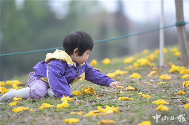 影像中山(15)"春天该很好,倘若你在场"