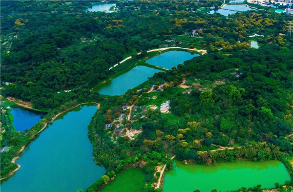 沙溪征集凤凰山公园主入口牌坊设计方案和标识2万元奖金等着你