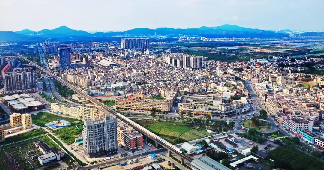 泽华书记勉励南朗镇争当"优等生""领头羊"