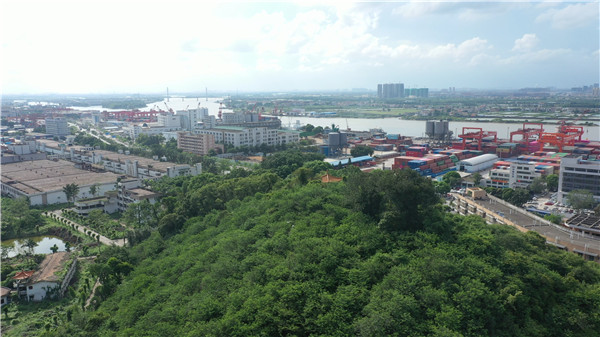 向临海方面延伸,火炬区在永春滨江公园的基础又开展了张家边联围