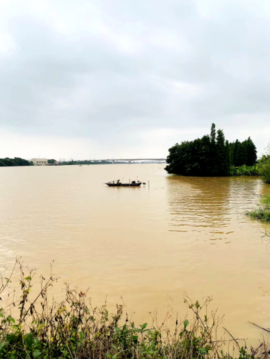 黄小鹏‖大南生态岛 美味大沙田(小康征文221)