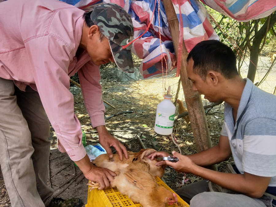 民众镇助力沙水村精准脱贫出实效_中山plus_中山