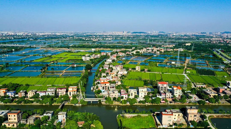 三角镇国泰杯摄影比赛结果出炉_中山plus_中山 中山plus(中山 )-中山