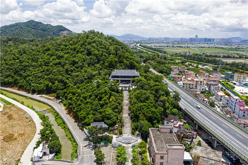 百年中山(32)坦洲新前进村:昔日,有支"敌后武工队"威震敌胆