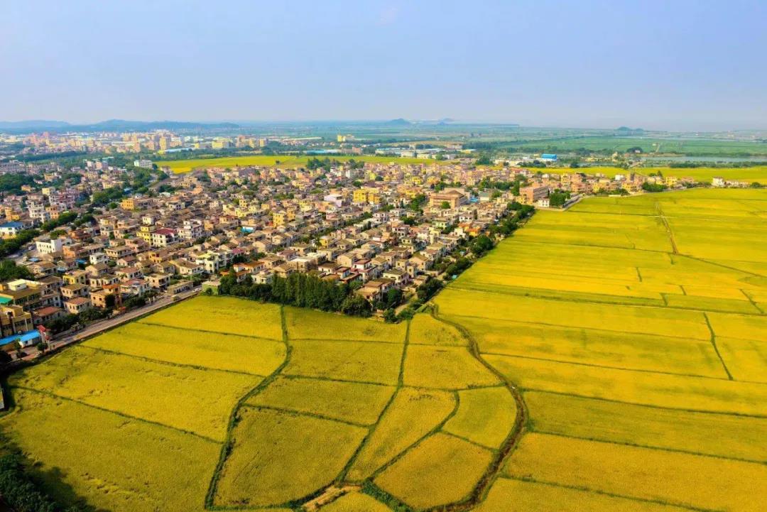 向坤山‖崖口村:城里人向往的地方(本土/纪实)_中